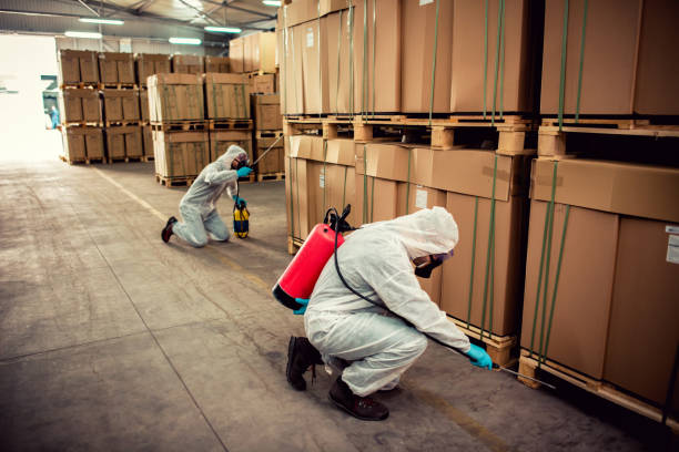Best Flea Control Services  in Perrysburg, OH