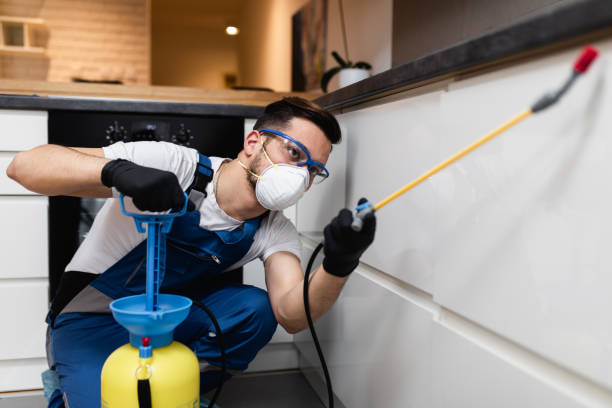 Best Exterminator Services  in Perrysburg, OH