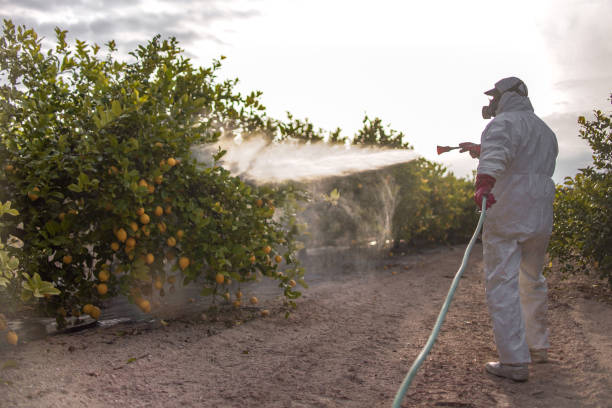 Perrysburg, OH Pest Control Company