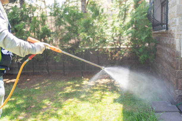 Best Affordable Pest Control Services  in Perrysburg, OH