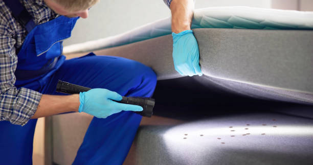 Best Pest Control Near Me  in Perrysburg, OH