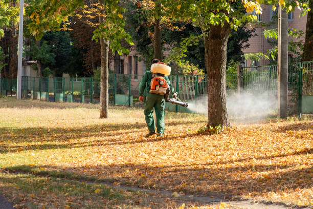 Best Local Pest Control Services  in Perrysburg, OH
