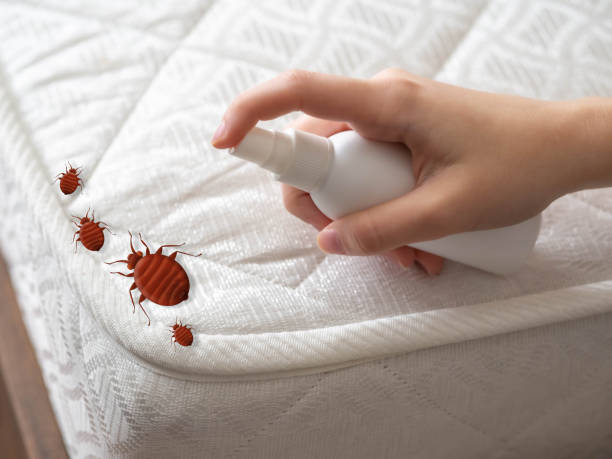 Best Cockroach Control Services  in Perrysburg, OH